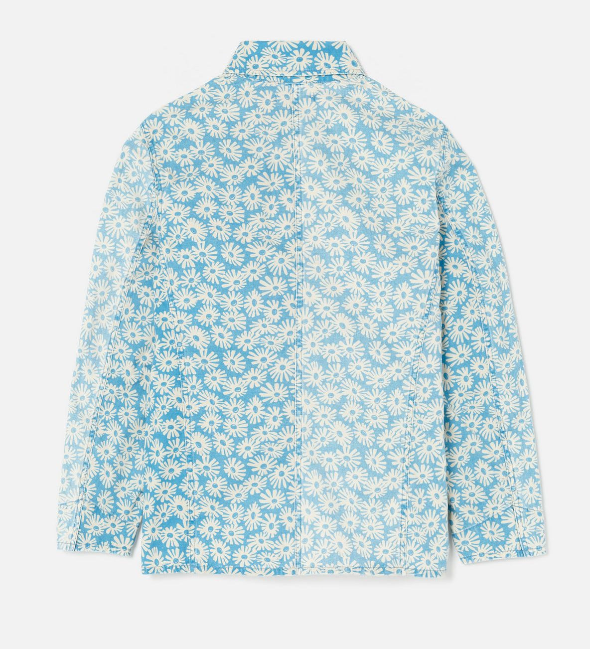 rd_412-6wchorej_blue_20daisy_2.jpg