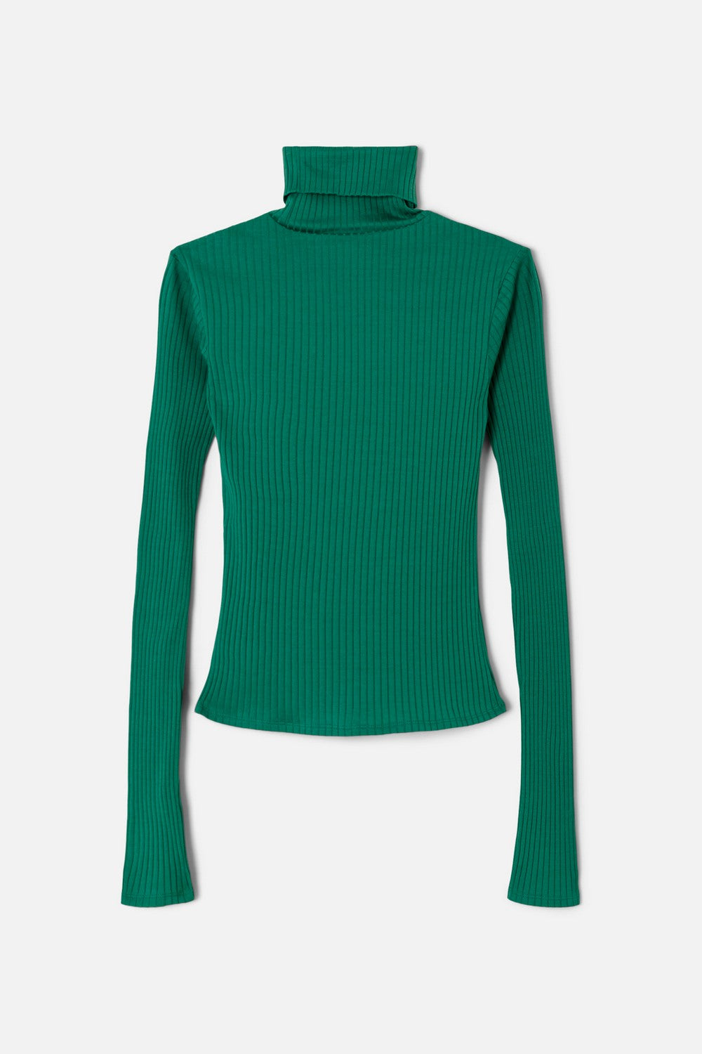 RIBBED TURTLENECK