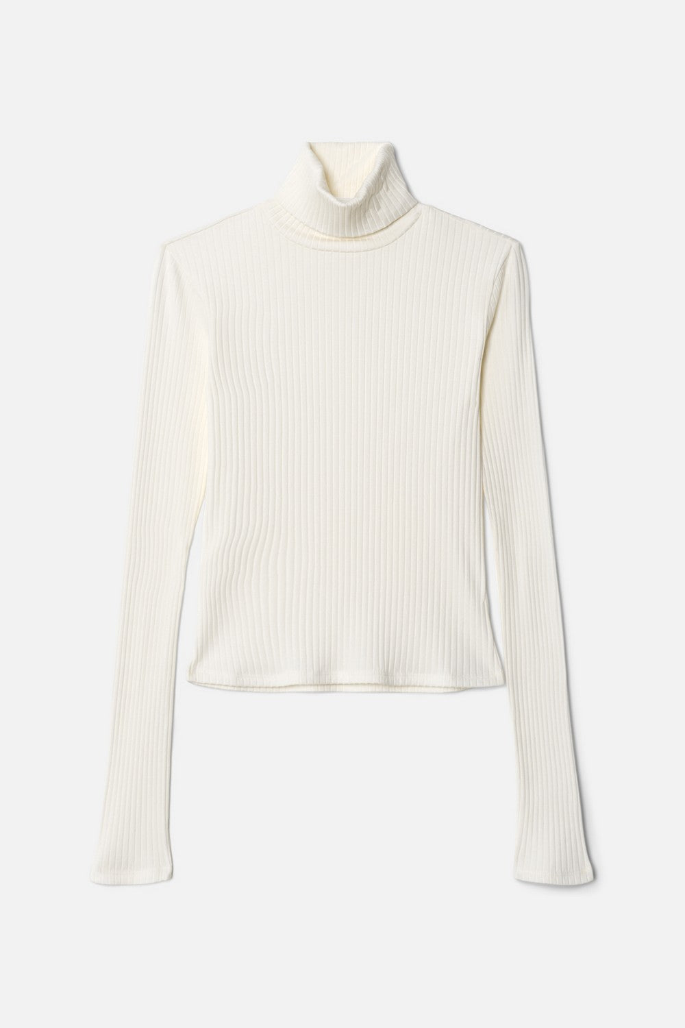 RIBBED TURTLENECK
