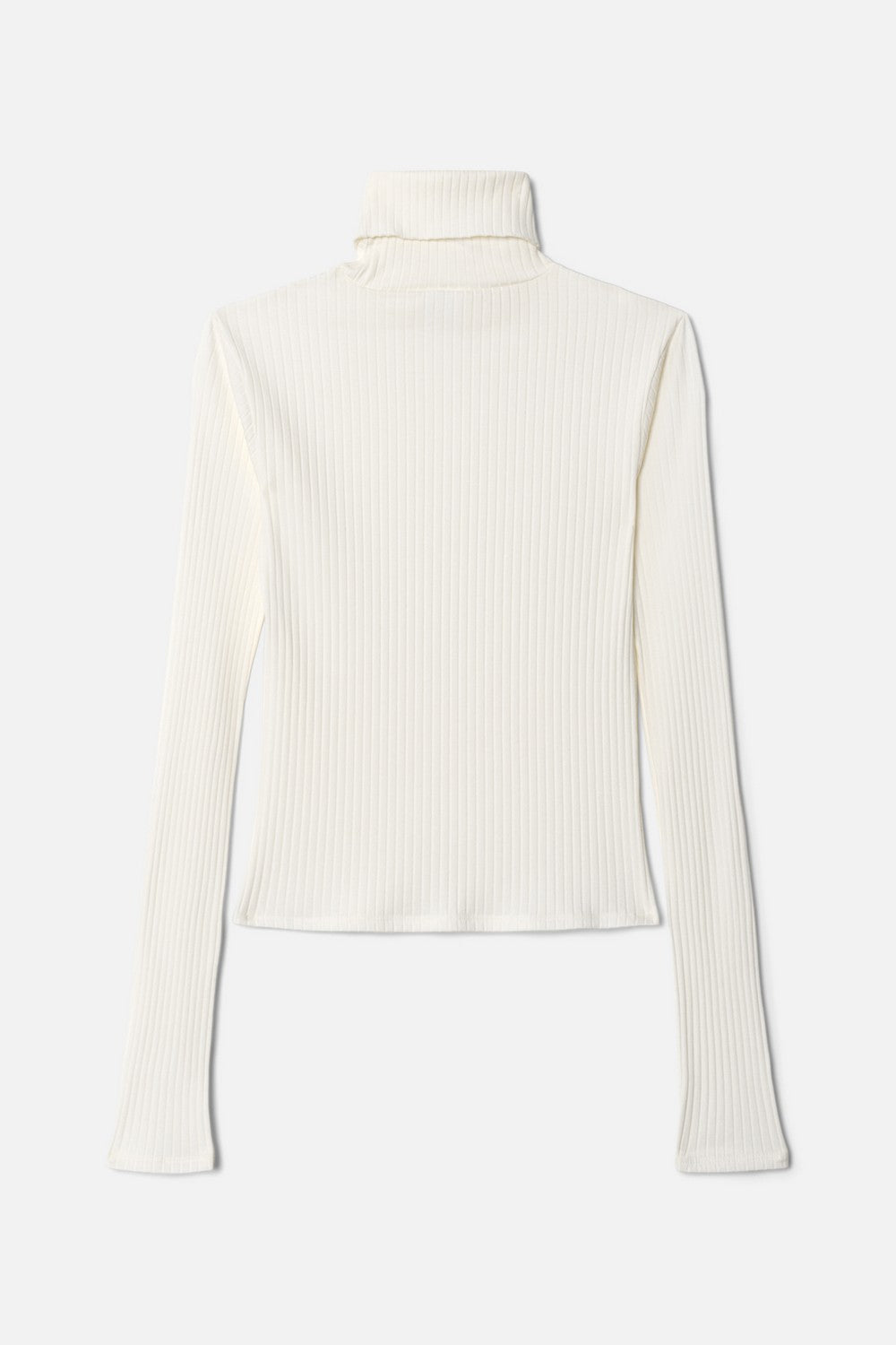 RIBBED TURTLENECK