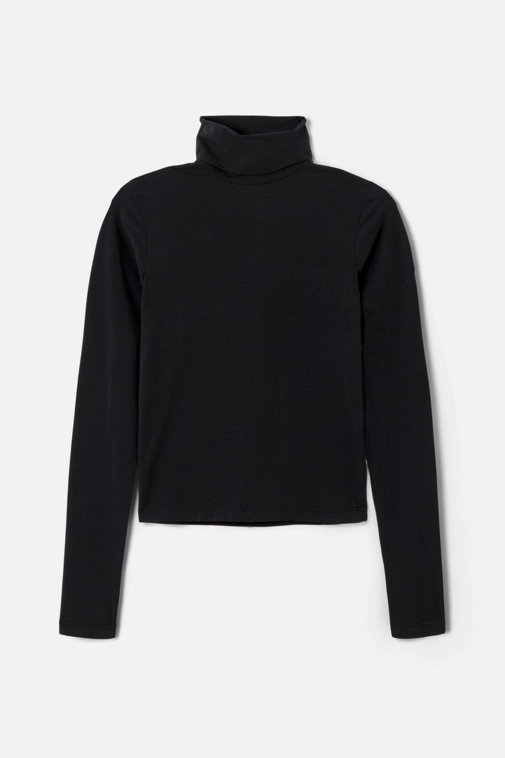 SHEER TURTLENECK
