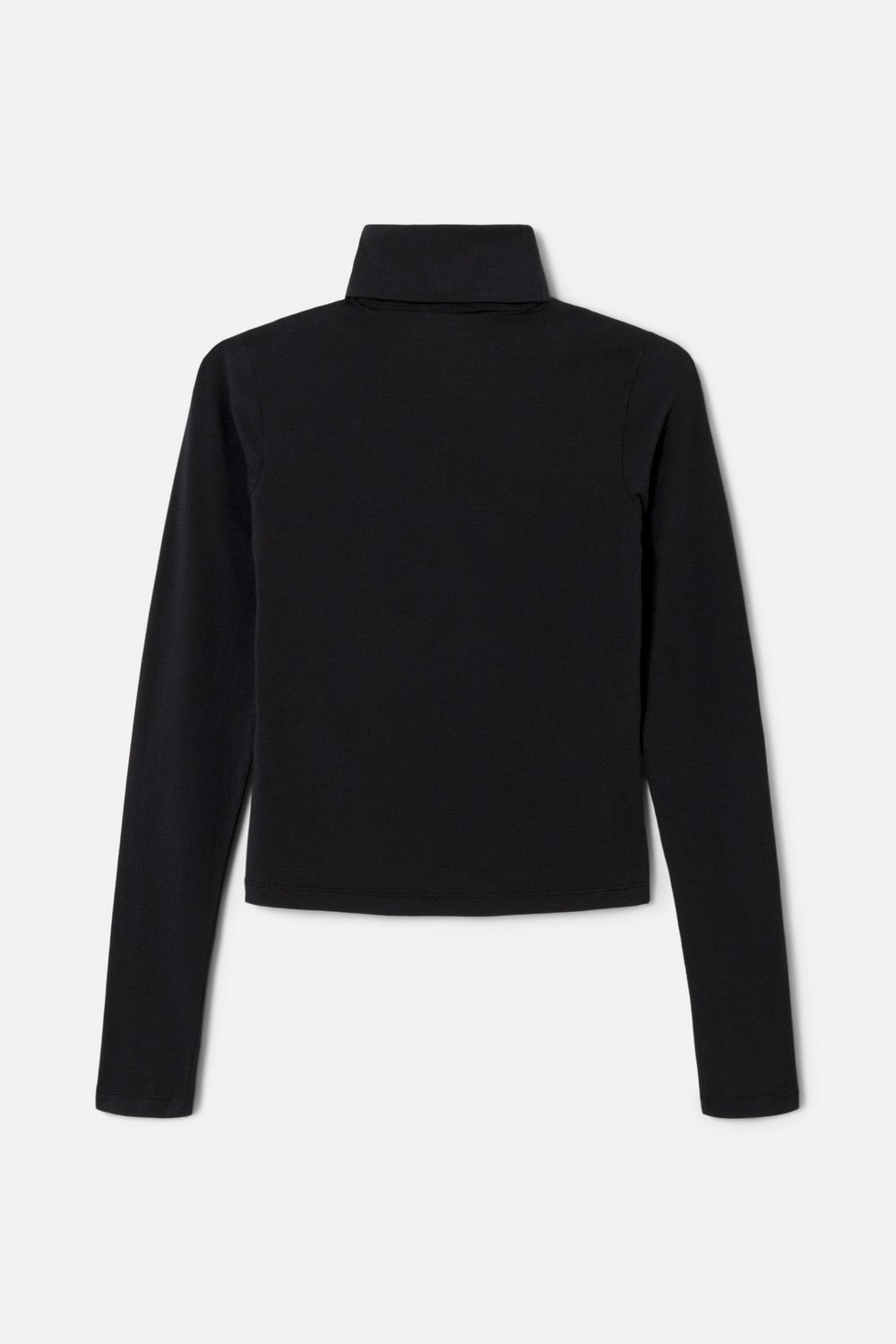 SHEER TURTLENECK