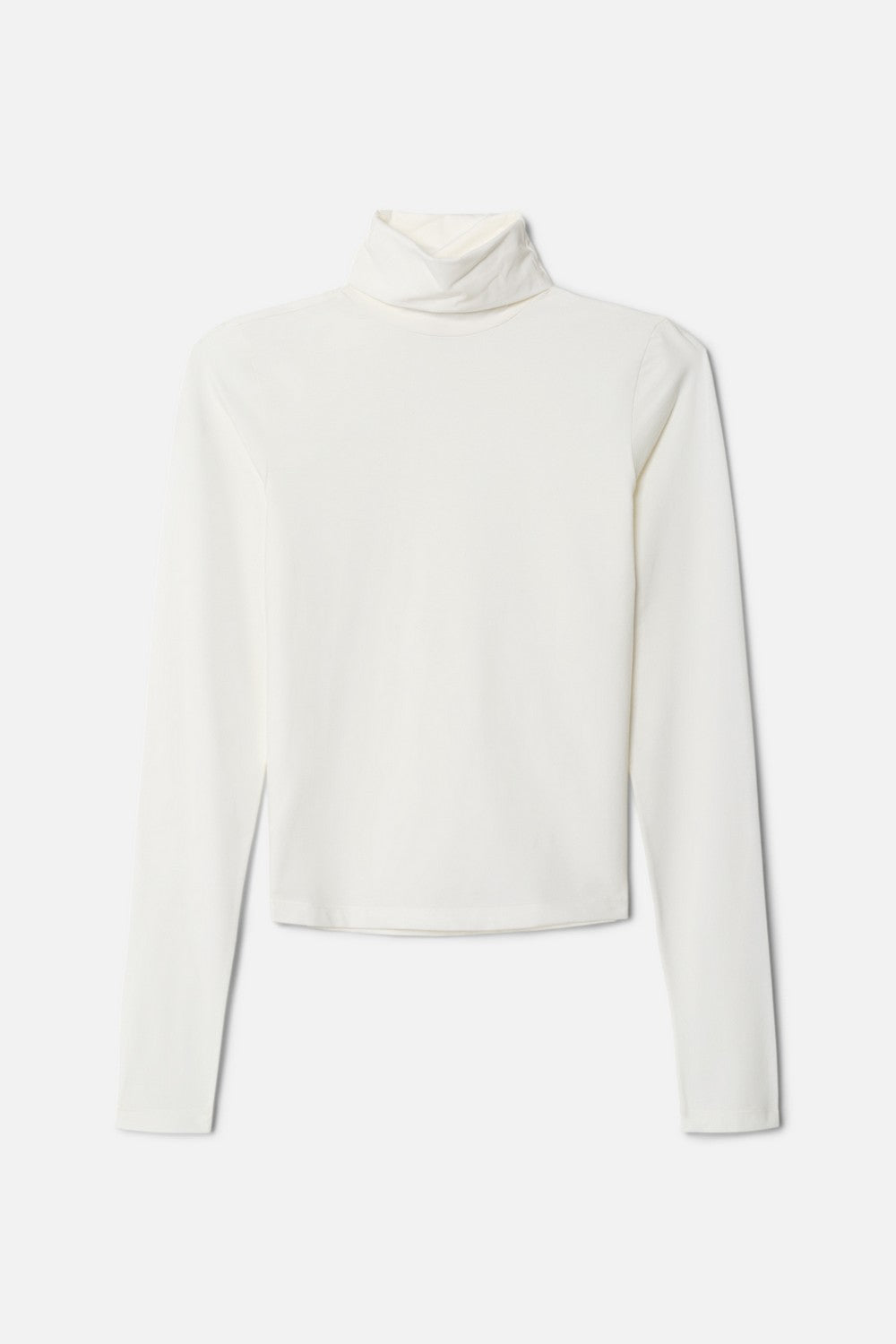 SHEER TURTLENECK
