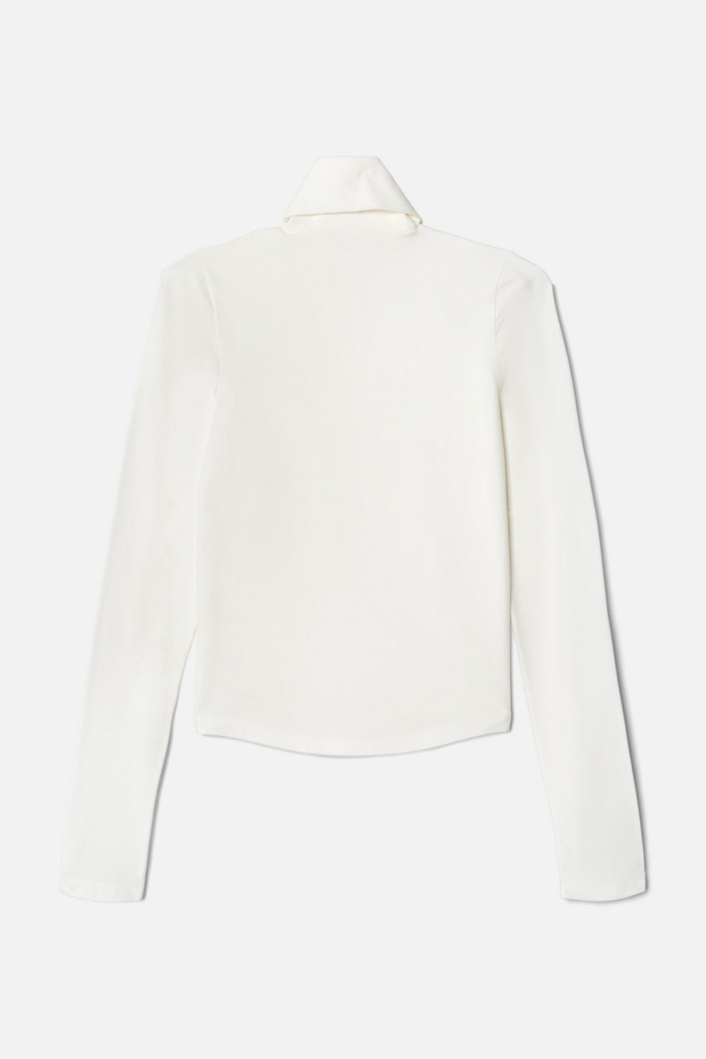 SHEER TURTLENECK